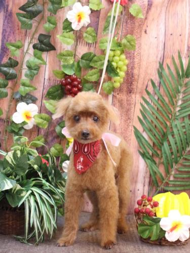 20230806チャタくん